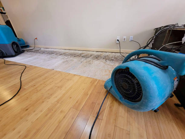 Professional Structural Drying technician working in Needham Heights, MA